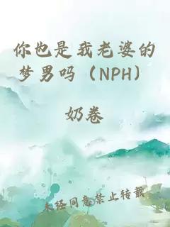 你也是我老婆的梦男吗（NPH）