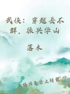 武侠：穿越岳不群，振兴华山