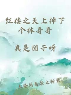 红楼之天上掉下个林哥哥