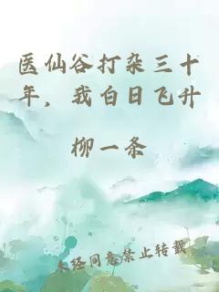 医仙谷打杂三十年，我白日飞升