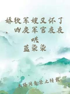 娇软军嫂又怀了，凶戾军官夜夜哄