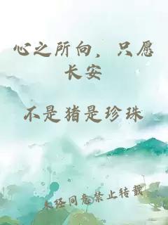 心之所向，只愿长安