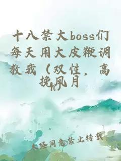 十八禁大boss们每天用大皮鞭调教我（双性，高h）