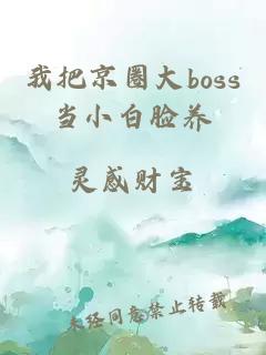 我把京圈大boss当小白脸养