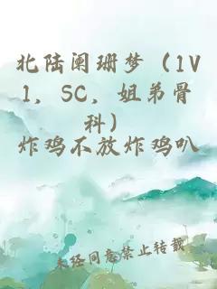 北陆阑珊梦（1V1，SC，姐弟骨科）