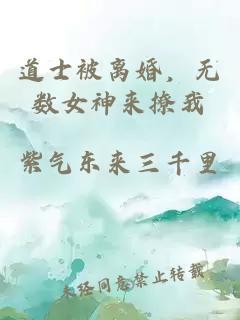道士被离婚，无数女神来撩我