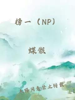 榜一（NP）