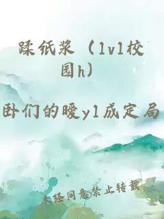 蹂纸浆（1v1校园h）
