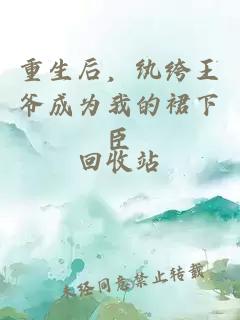 重生后,纨绔王爷成为我的裙下臣