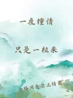 一夜锺情