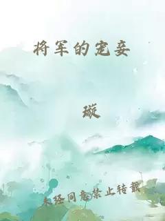 将军的宠妾