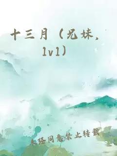 十三月（兄妹，1v1）
