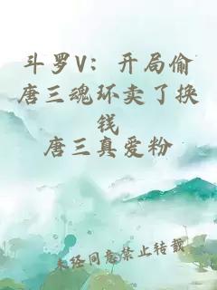 斗罗V：开局偷唐三魂环卖了换钱