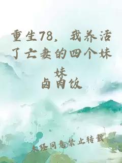 重生78，我养活了亡妻的四个妹妹