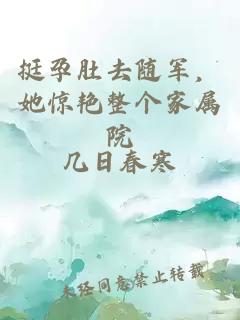 挺孕肚去随军，她惊艳整个家属院