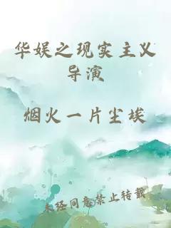 华娱之现实主义导演