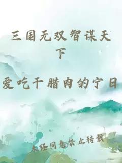 三国无双智谋天下