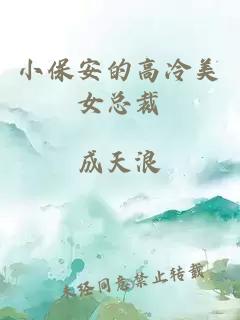 小保安的高冷美女总裁