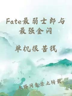 Fate最弱士郎与最强金闪