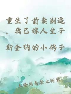重生了前妻别追，我已嫁人生子