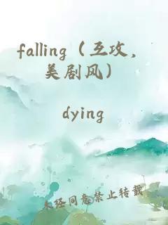 falling（互攻，美剧风）