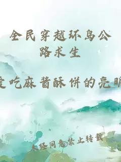 全民穿越环岛公路求生