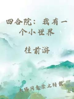 四合院:我有一个小世界