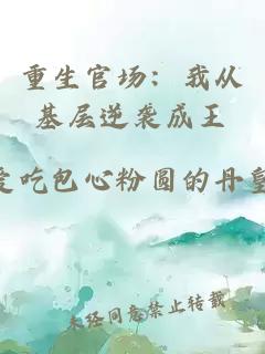 重生官场：我从基层逆袭成王