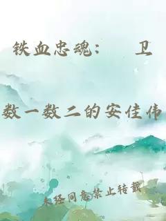 铁血忠魂：扞卫