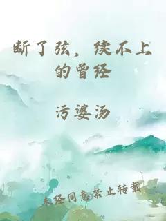 断了弦，续不上的曾经