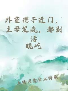 外室携子进门，主母发疯，都别活