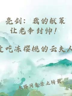 亮剑：我的献策让老李封帅！