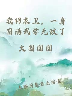 我锦衣卫，一身圆满武学无敌了