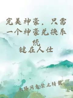 完美神豪，只需一个神豪兑换系统