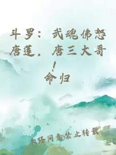 斗罗：武魂佛怒唐莲，唐三大哥！