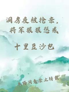 洞房夜被抢亲，将军狠狠惩戒