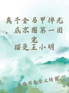 真千金马甲掉光，成京圈第一团宠