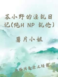 苏小野的淫乱日记(纯H NP 乱伦)