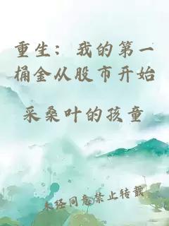 重生：我的第一桶金从股市开始