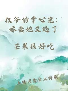 权爷的掌心宠：娇妻她又逃了