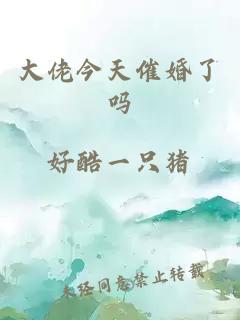 大佬今天催婚了吗