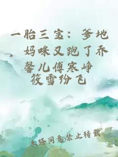 一胎三宝：爹地，妈咪又跑了乔馨儿傅寒峥