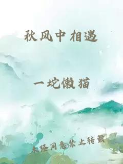 秋风中相遇