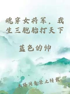 魂穿女将军，我生三胞胎打天下