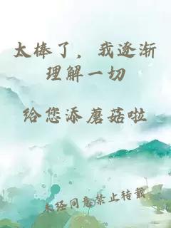 太棒了，我逐渐理解一切