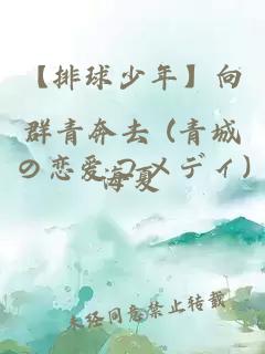 【排球少年】向群青奔去 (青城の恋爱コメディ)