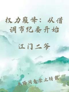 权力巅峰：从借调市纪委开始