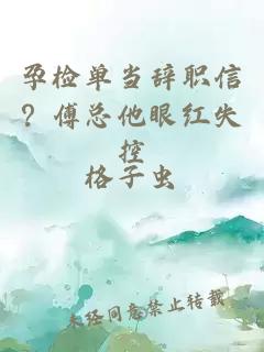 孕检单当辞职信？傅总他眼红失控