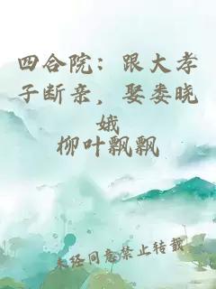 四合院：跟大孝子断亲，娶娄晓娥