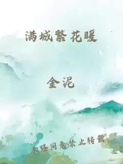 满城繁花暖